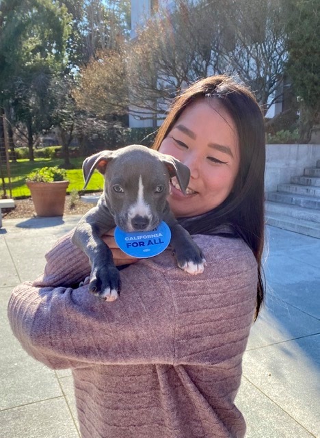 smiling woman holding pit pup who has a blue California for All sticker in its mouth