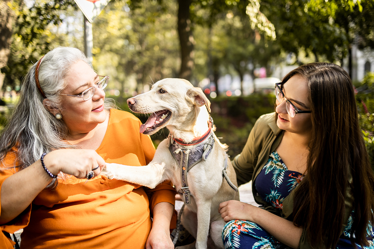 Mother and daughter sitting on the bench and playing with a dog