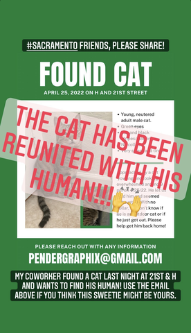 mobile screenshot of Found Cat post with 'The cat has been reunited with his human' written across in big red letters