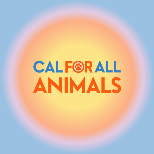 Cal 4 All logo version with yellow circle and blue outside
