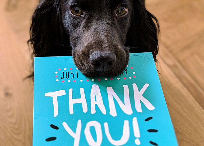 dog holding thank you card in its mouth