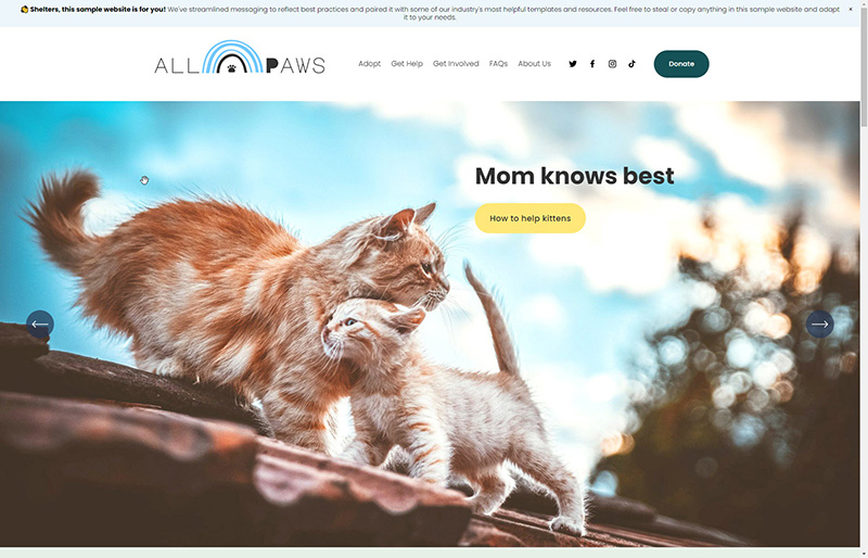 Home page of All Paws, the sample shelter website. Photo of mama cat and kitten on a rooftop, with tagline that says Mom knows best. How to help kittens.