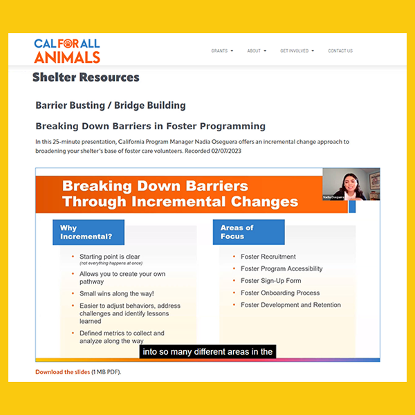 screenshot of Shelter Resources page showing Breaking Barriers slide from PowerPoint presentation