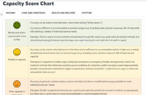 Thumbnail image of the chart, linked to the chart