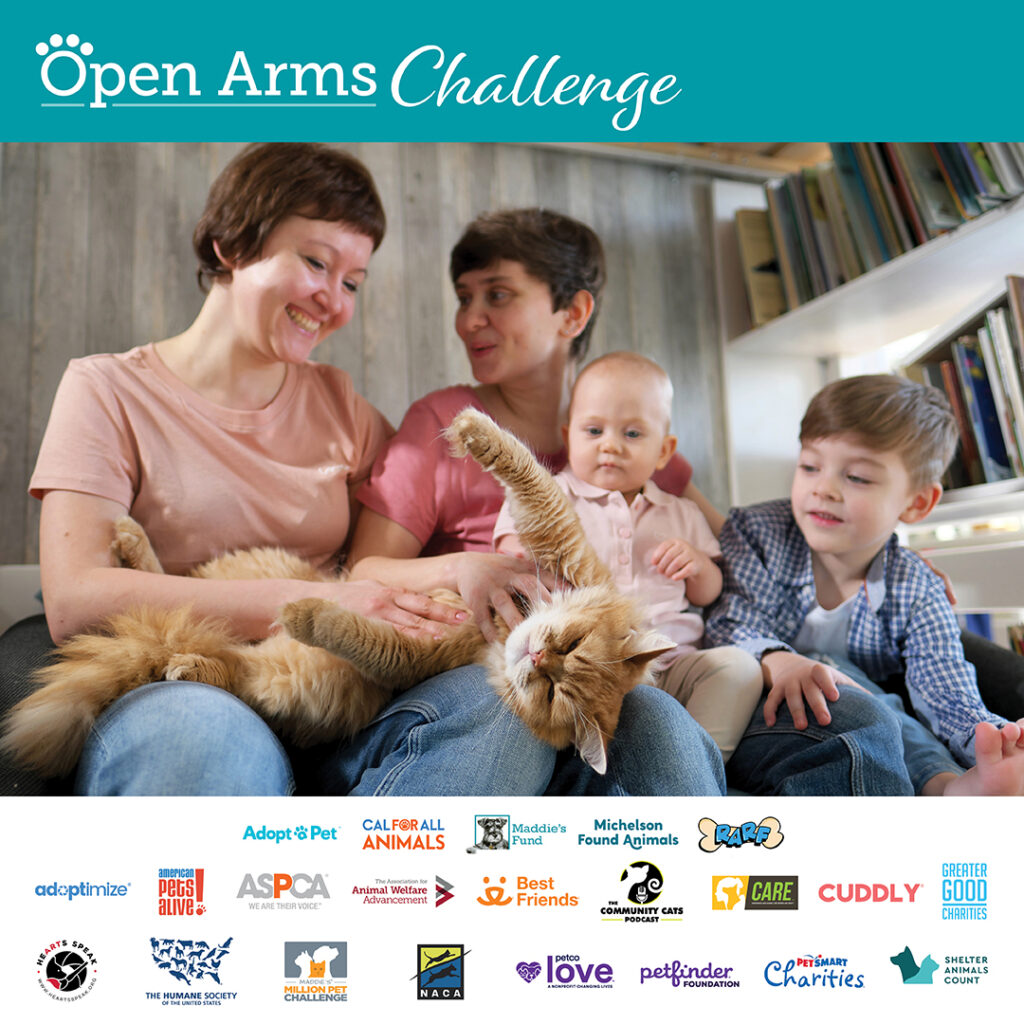 Open Arms Challenge promotional image of a family sitting on a couch with a cat