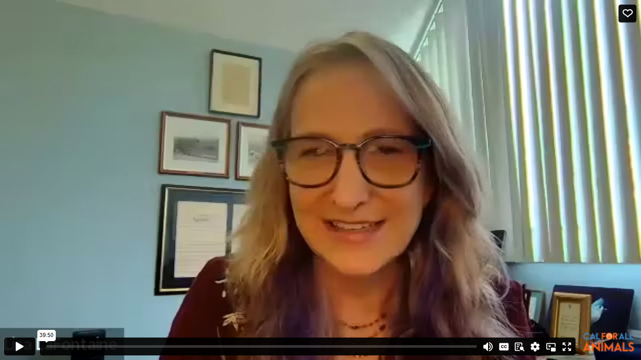 Lisa LaFontaine on Learning While Leading