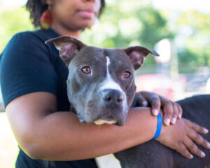 A woman puts her arm around a dog