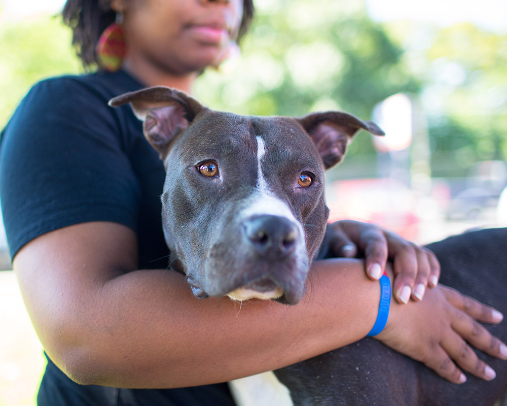 A woman puts her arm around a dog