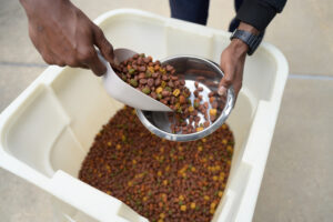 Kibble Clogging California Animal Welfare Funders Collaborative Awards Grants to 24 ...
