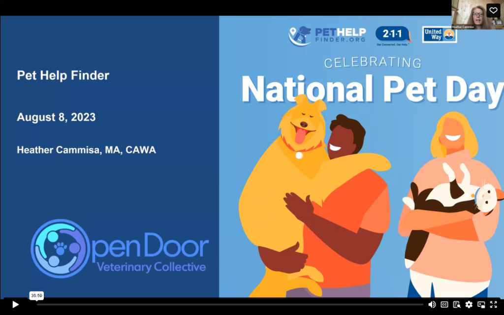 Screenshot of video shows Heather Cammisa and a colorful graphic celebrating National Pet Day