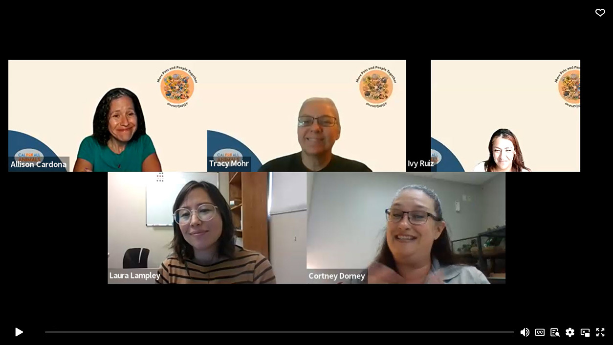 Winning the Fight to Reunite Pets and People