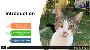 Introduction slide from Debra's presentation