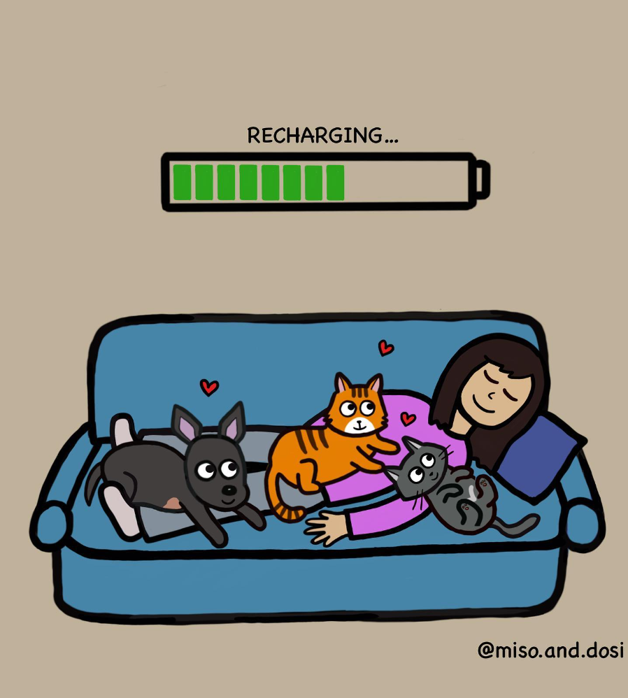 More Pets and People Together, More Recharging - 2nd place contest winner by Uta M. is a comic depicting a woman resting happily on her couch with two cats and a dog