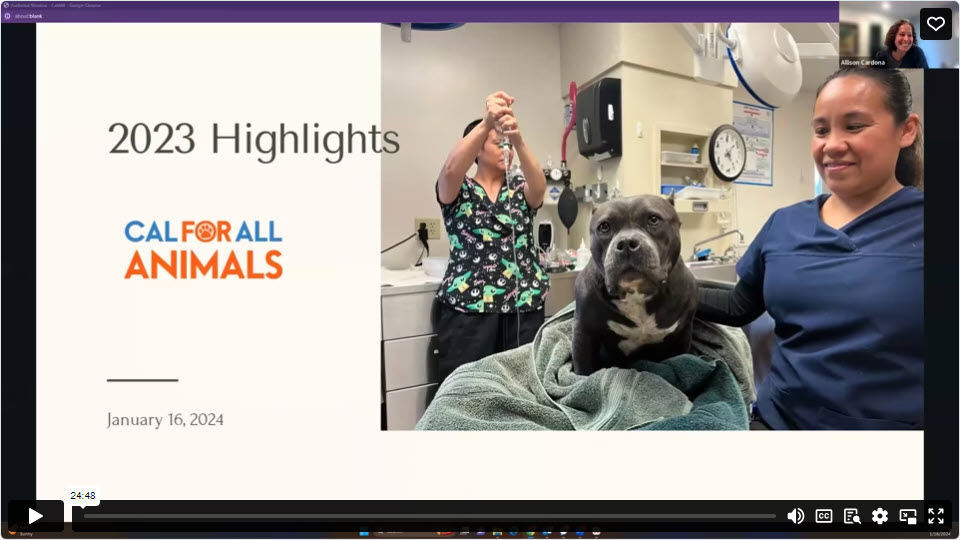 Screenshot of Allison's title slide for the 2023 Highlights presenation