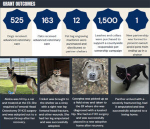 Thumbnail of the report showing very small text and photos of two dogs and two cats helped by the shelter