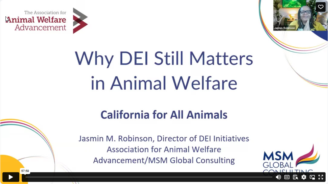 Why DEI Still Matters in Animal Welfare — Cal4All Call 02/04/2025