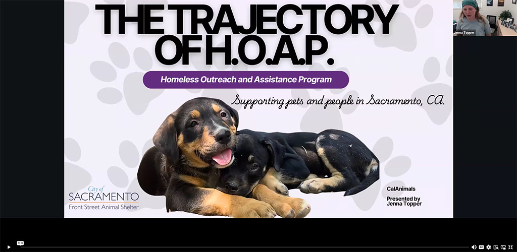 The Trajectory of H.O.A.P.