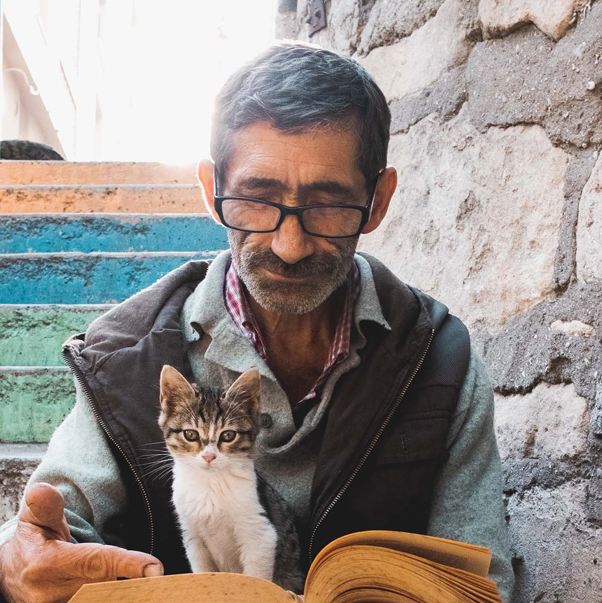 Man sitting on steps reading a book, with cat standing on the book